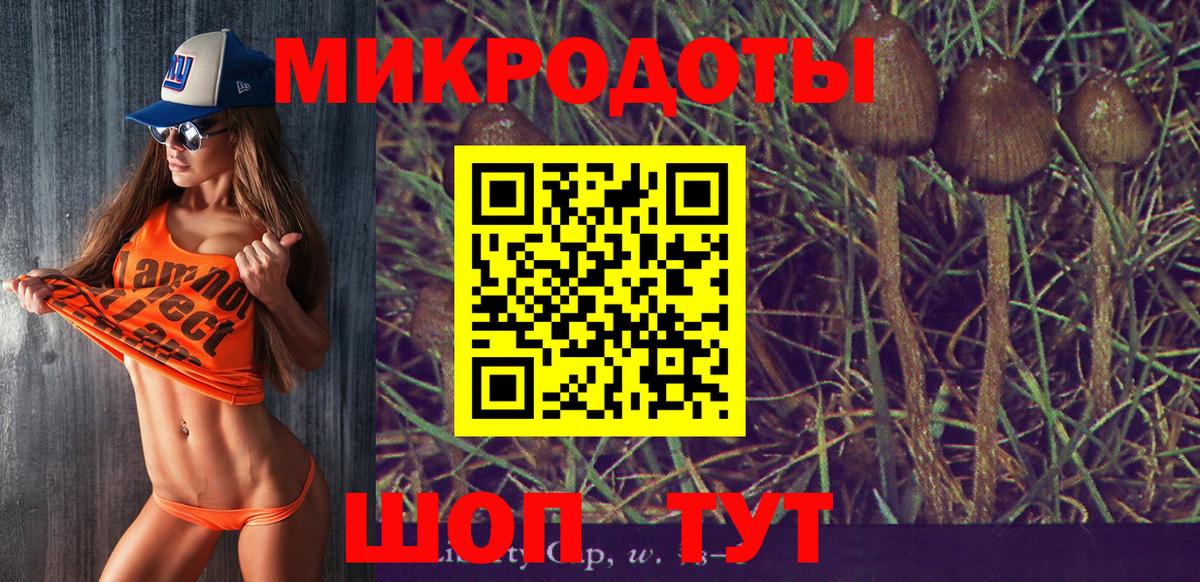 купить закладку  Вход с VPN  Нерюнгри  Галлюциногенные грибы Cubensis 